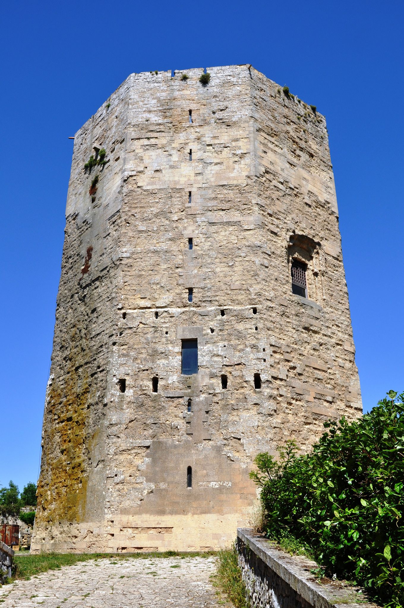 torre di federico